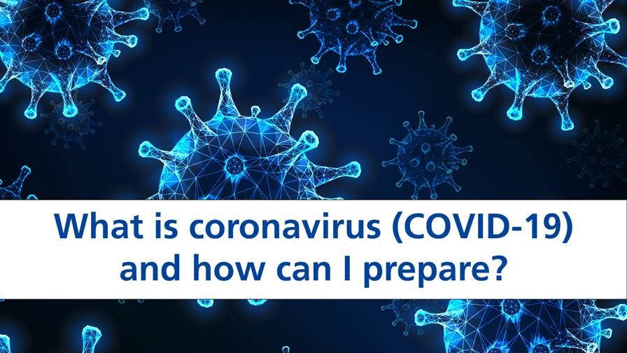 What is a coronavirus